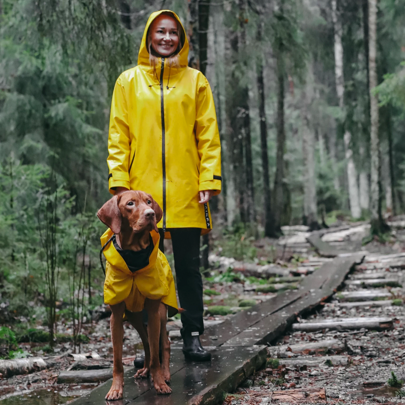 Dog and owner matching raincoats by Paikka