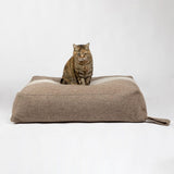 cat sitting on warm wool pet cushion