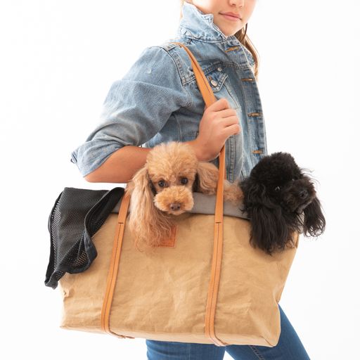 Dog carrier with zipper